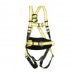 Harnesses and Lanyards