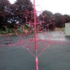 Activity Net